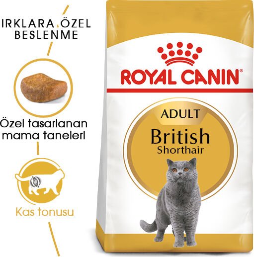 British Shorthair Yetişkin Kedi Maması 2kg