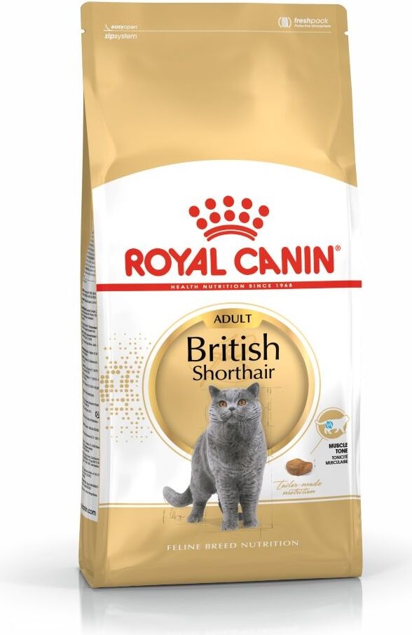 British Shorthair Yetişkin Kedi Maması 2kg