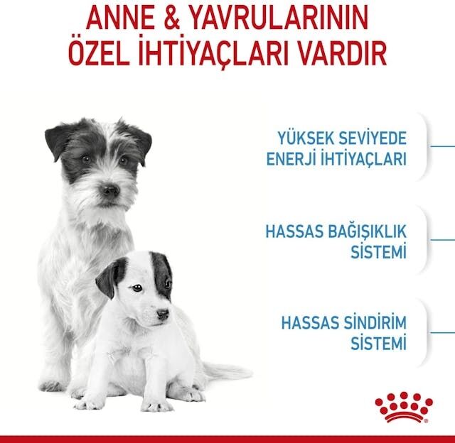 Starter Mother&Babydog Gebe/Laktasyondaki Anne ve Yavru Köpekler için Kuru Köpek Maması 4kg