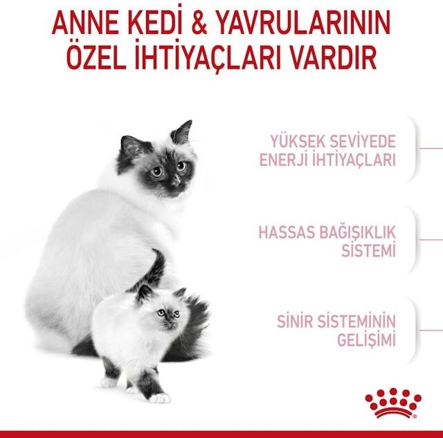 Mother&babycat Gebe/laktasyondaki Anne Ve Yavru Kedi Için Kuru Kedi Maması 4kg