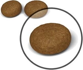 Hair&skin Tüy Ve Deri Sağlığı Için Kuru Kedi Maması 2kg