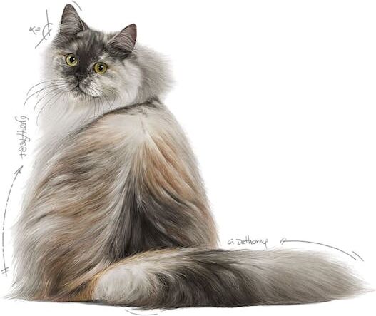 Hair&skin Tüy Ve Deri Sağlığı Için Kuru Kedi Maması 2kg