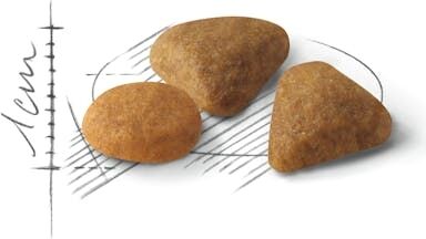 Fussy Exigent Seçici Kediler Için Kuru Kedi Maması 2kg