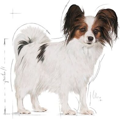 Xsmall Adult Çok Küçük Irklar Için Kuru Köpek Maması 3kg