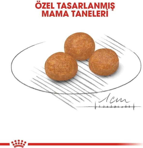 Xsmall Adult Çok Küçük Irklar Için Kuru Köpek Maması 3kg