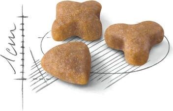 Sensible33 Sindirim Hassasiyeti Olan Kediler Için Yetişkin Kuru Kedi Maması 2kg