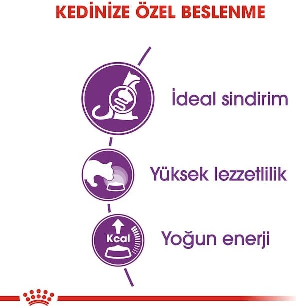 Sensible33 Sindirim Hassasiyeti Olan Kediler Için Yetişkin Kuru Kedi Maması 2kg