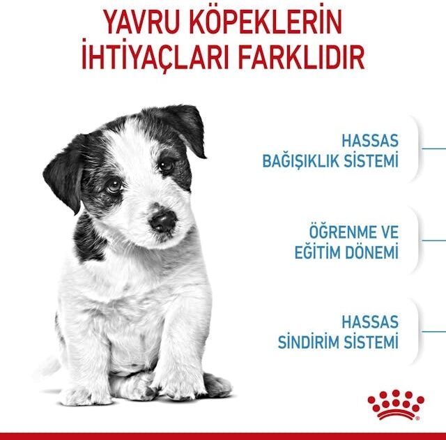 Küçük Irklar Için Yavru Kuru Köpek Maması 2kg