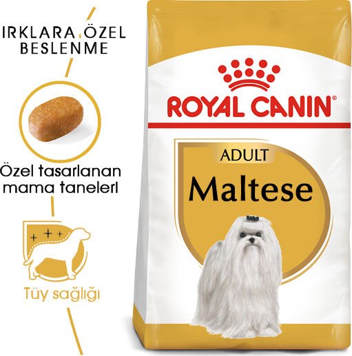 Royal Canin Maltese Yetişkin Kuru Köpek Maması 1.5 kg Premium Protein Kaynağı ile Uzun Tüy Sağlığı