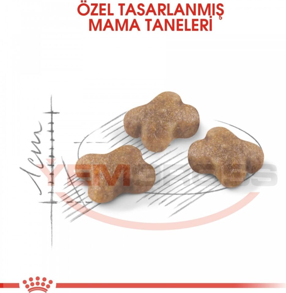 Royal Canin Yavru Kediler İçin Kuru Kedi Maması 10kg