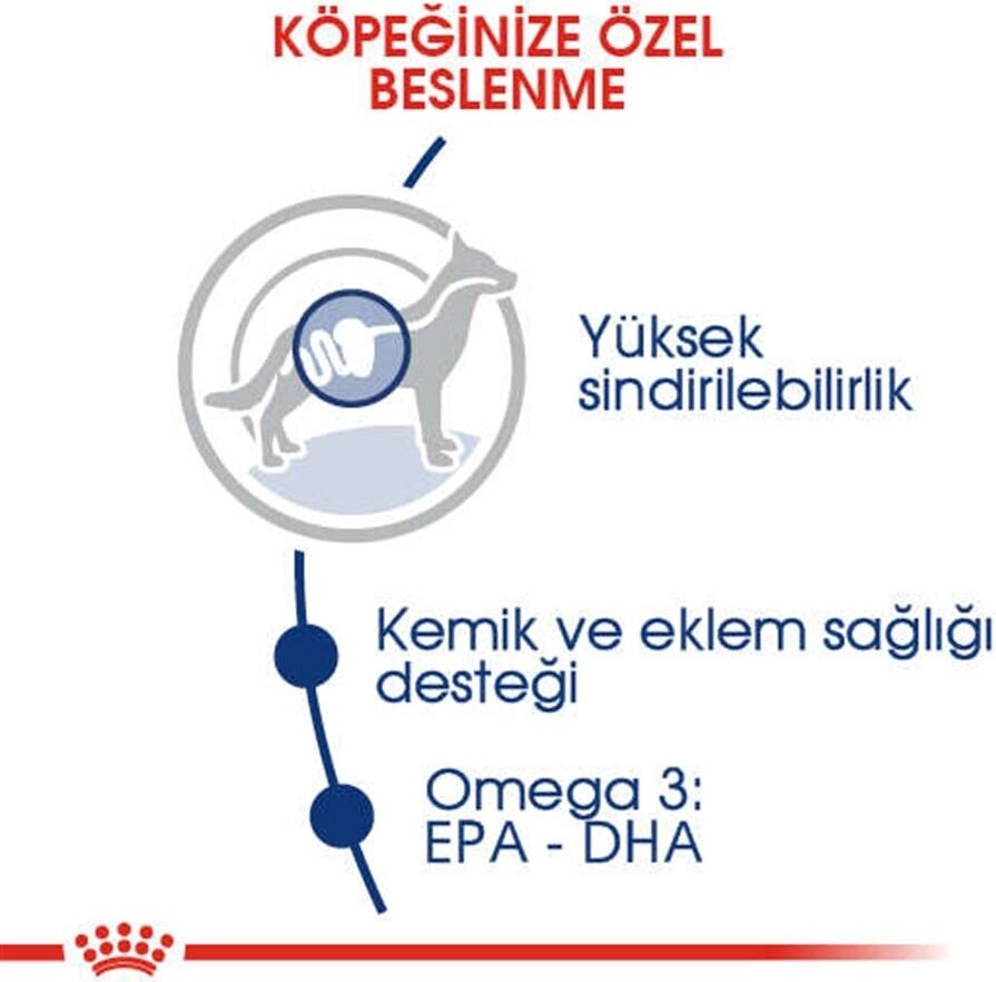 Maxi Adult Büyük Irklar Için Yetişkin Kuru Köpek Maması 15 Kg