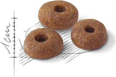 Royal Canin Fit32 Yetişkin Kuru Kedi Maması 15 kg İstiridye Tatlı Aktif Kediler İçin