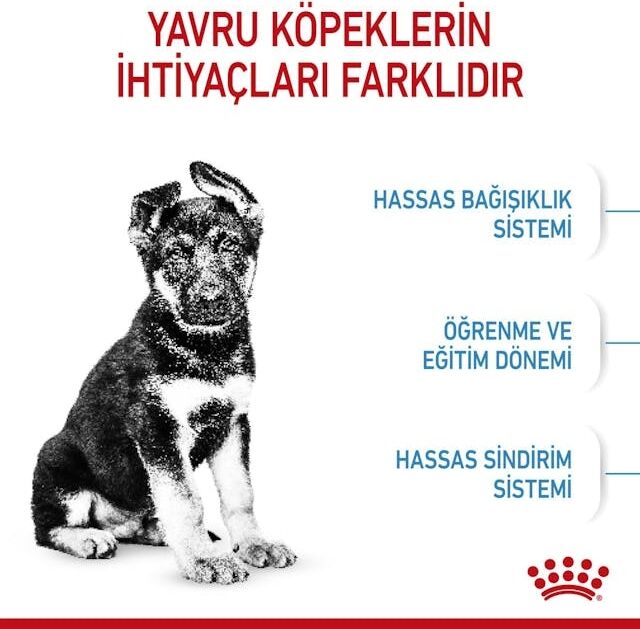 Büyük Irklar Için Yavru Kuru Köpek Maması 15kg