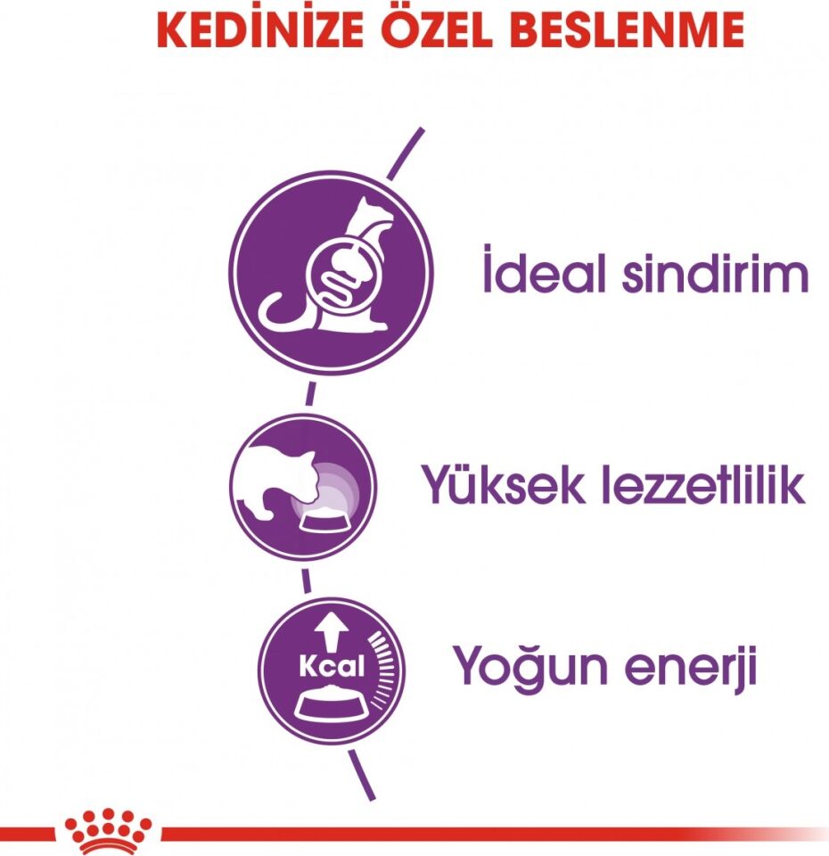 Sensible33 Sindirim Hassasiyeti Olan Kediler Için Yetişkin Kuru Kedi Maması 15kg