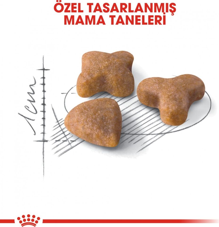 Sensible33 Sindirim Hassasiyeti Olan Kediler Için Yetişkin Kuru Kedi Maması 15kg