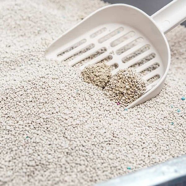 Pro Line Sabun Kokulu Kedi Kumu 5 LT