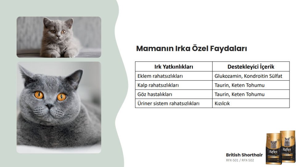 Reflex Plus british shorthair Yetişkin Kedi Maması 1.5 kg