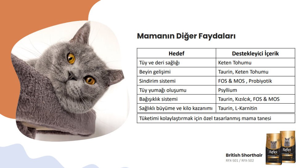 Reflex Plus british shorthair Yetişkin Kedi Maması 1.5 kg