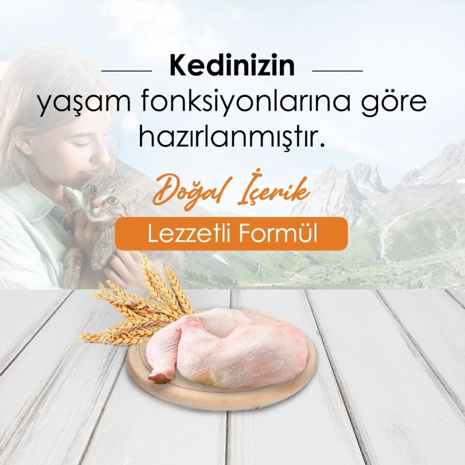 New Cat Kedi Maması 15 Kg