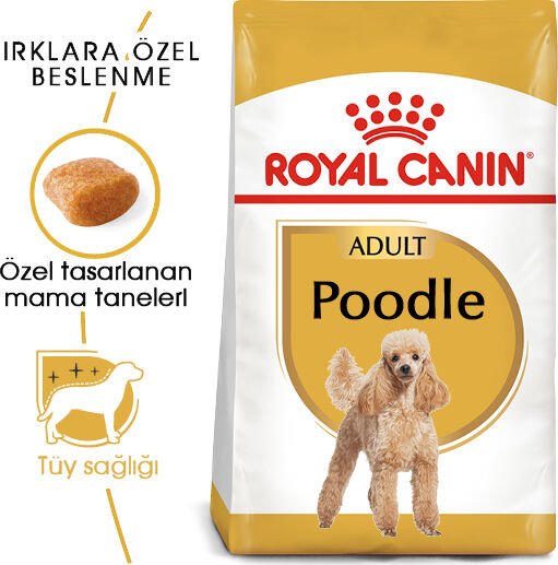 Poodle Yetişkin Kuru Köpek Maması 3kg