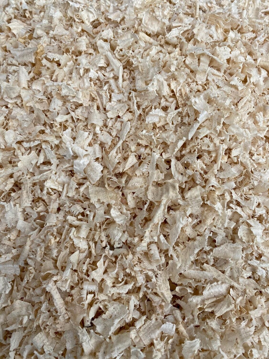 Yıldızlar Kereste 1 kg Kaba Talaş, Kemirgen Talaşı, Tavşan Talaşı, Kaba Talaş