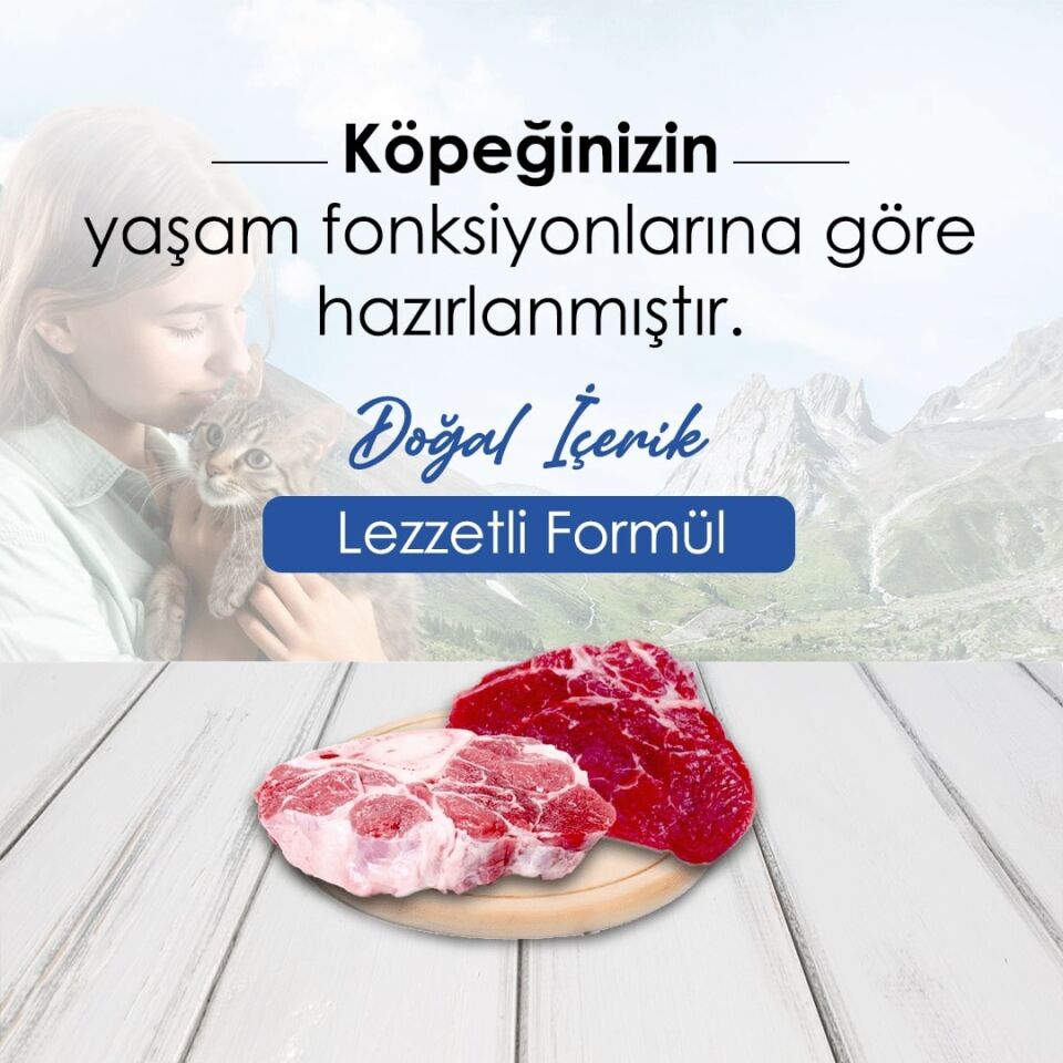 New Dog Tavuk Etli Yetişkin Köpek Maması 15 Kg