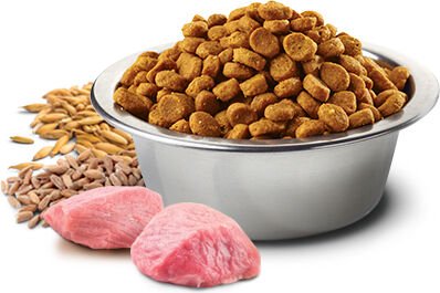 N&D Kuzu Etli Yaban Mersini Düşük Tahıllı 10 Kg Yetişkin Kedi Maması